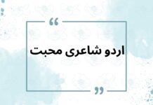 اردو شاعری محبت: عشق، احساسات اور لازوال شاعری کی خوبصورت دنیا